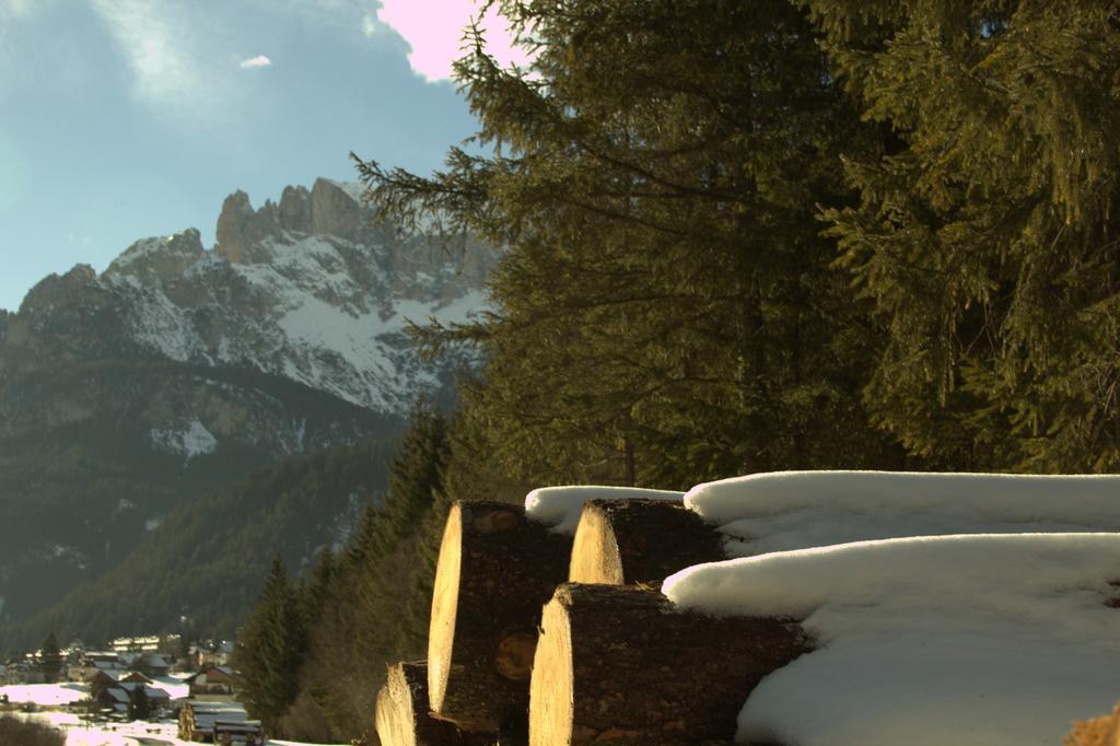Appartamento Niki Campitello Campitello di Fassa Extérieur photo